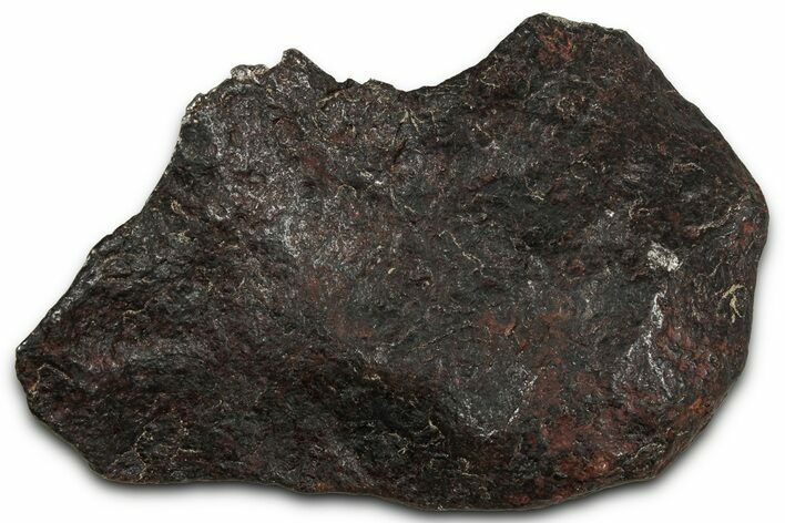 Canyon Diablo Iron Meteorite ( g) - Arizona #356023